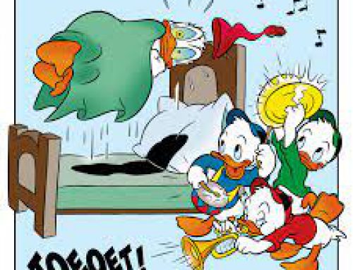 Dauwduiken donderdag 9 mei!